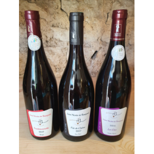 3 bouteilles de st n b. rouges