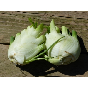 Fenouil 1 kg, vitamines c, octeville