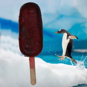 Le petit bâton de fruits  8 glaces  : cassis - fraise - myrtille - framboise