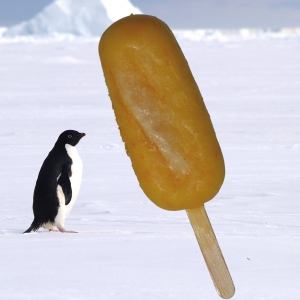 Le petit bâton de fruits  6 glaces  : orange - melon - framboise