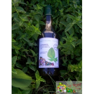 Sirop mélisse - verveine (dluo 02/21)