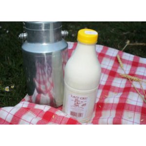 Lait cru 1 Litre