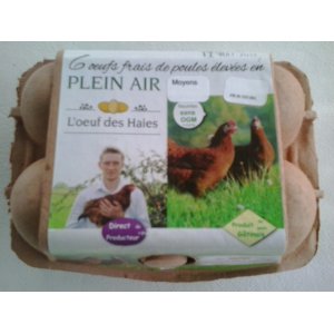 6 oeufs frais plein air