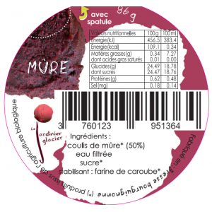 Sorbet mûre lot de 2 pots 120ml