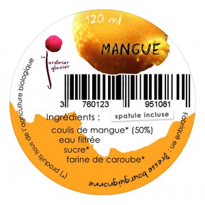 Sorbet mangue lot de 2 pots 120ml