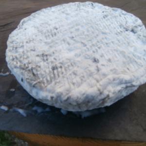 Crottin cendré de chèvre