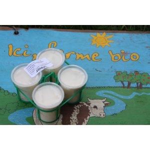 * 4 x yaourts bio aux abricots et au lait entier