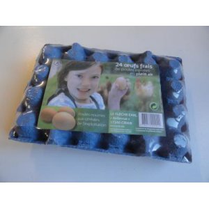 Insert de 24 oeufs plein air