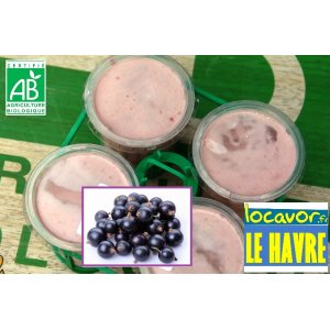4 yaourts bio cassis et lait entier