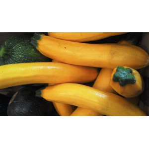 Courgettes jaunes x 1 kg