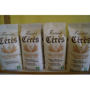 Farine de blé t80 1 kg