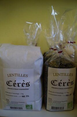 Lentilles vertes 1 kg