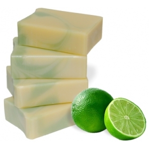 Les gourmands : « citron vert »