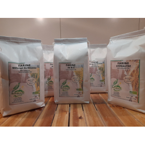Farine 1,5 kg bio blé - t80