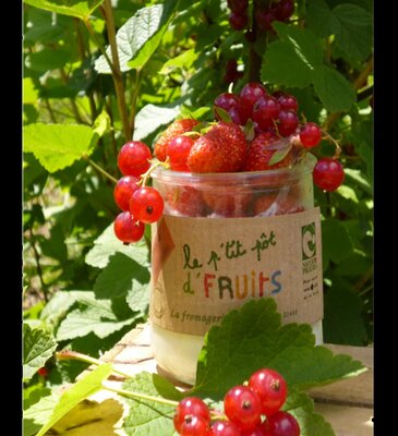 Le petit pot de fruits fraise groseille