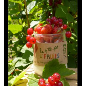 Le petit pot de fruits fraise groseille