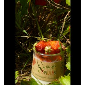 Le petit pot de fruits fraise