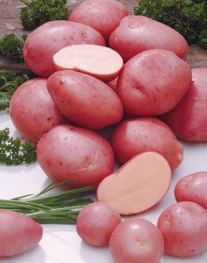 Pomme De Terre Variete Desiree Peau Rouge 1 Kg Les Maraichers Du Val D Amour Locavor Fr