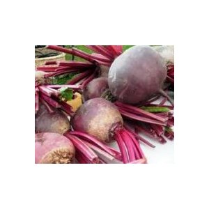 Betteraves crues, octeville