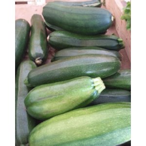 Courgettes x 1 kg