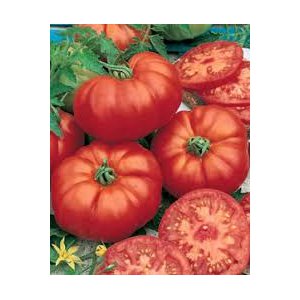 Mélange de vieiles variétés.