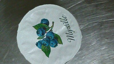 Yaourt  brassé myrtille bio 4*125g