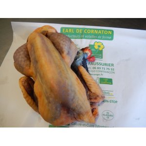 pintade de ferme prête-à-cuire 2 kg