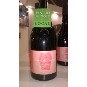 ROUGE EN JARRE. TERRE DE THOREY SAUVAGE IGP Coteaux de l'Auxois