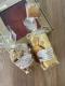 Coffret 'le classique' - image 3