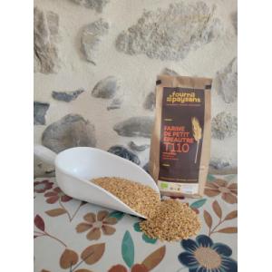 Petit epeautre en grains