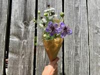 Fleurs botte - nigelle