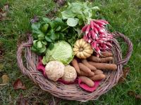 Petit panier de légumes