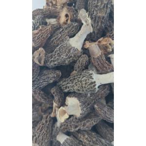 Pot de morilles séchées – 50 g