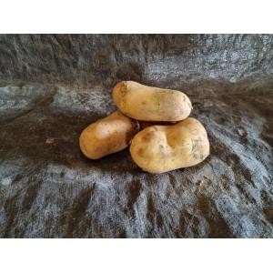 Pomme de terre louisiana