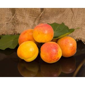 Abricots
