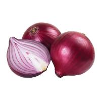 Oignon rouge frais