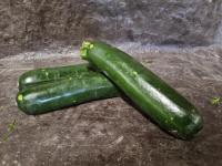 Courgette grosse