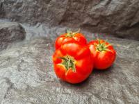 Tomate