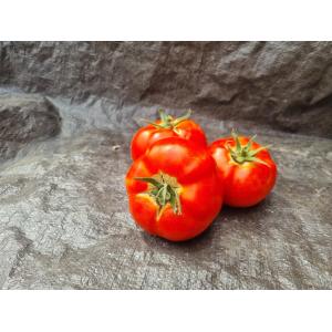 Tomate