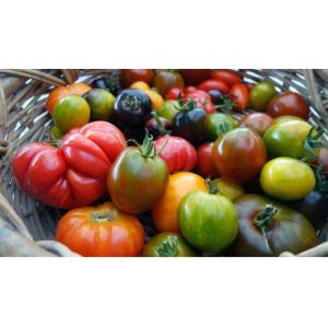 Tomates
