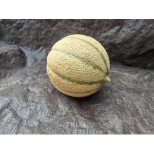 Melon