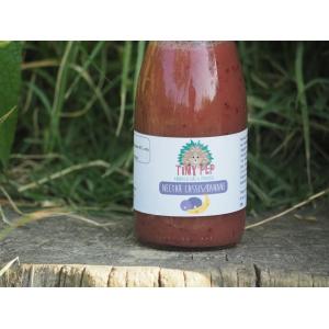 Nectars cassis/banane x10