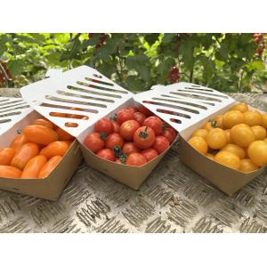 Mix de tomates cerises
