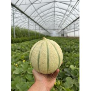 Melon d'ici !