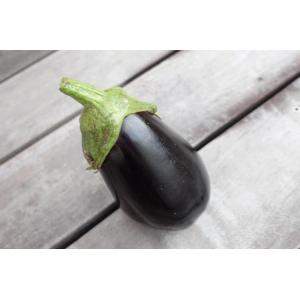 Aubergine bio de saison