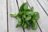 Basilic bio frais (botte)