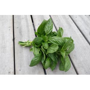 Basilic bio frais (botte)