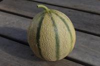 Melon bio