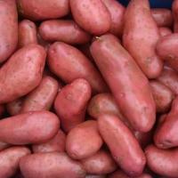 Pomme de terre de conservation cherie
