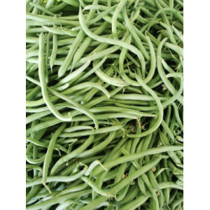 Haricots vert bio